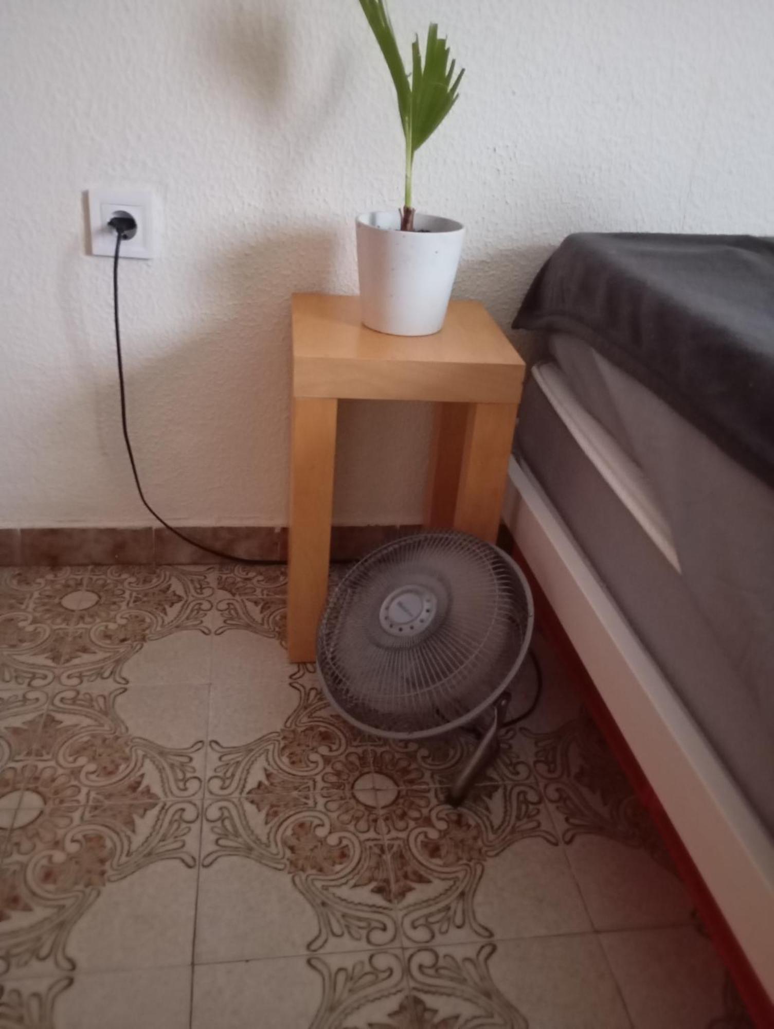 Grosses Modernes Zimmer "Silber" Fuer 2 Personen Und Katzenliebhaber บาเลนเซีย ภายนอก รูปภาพ