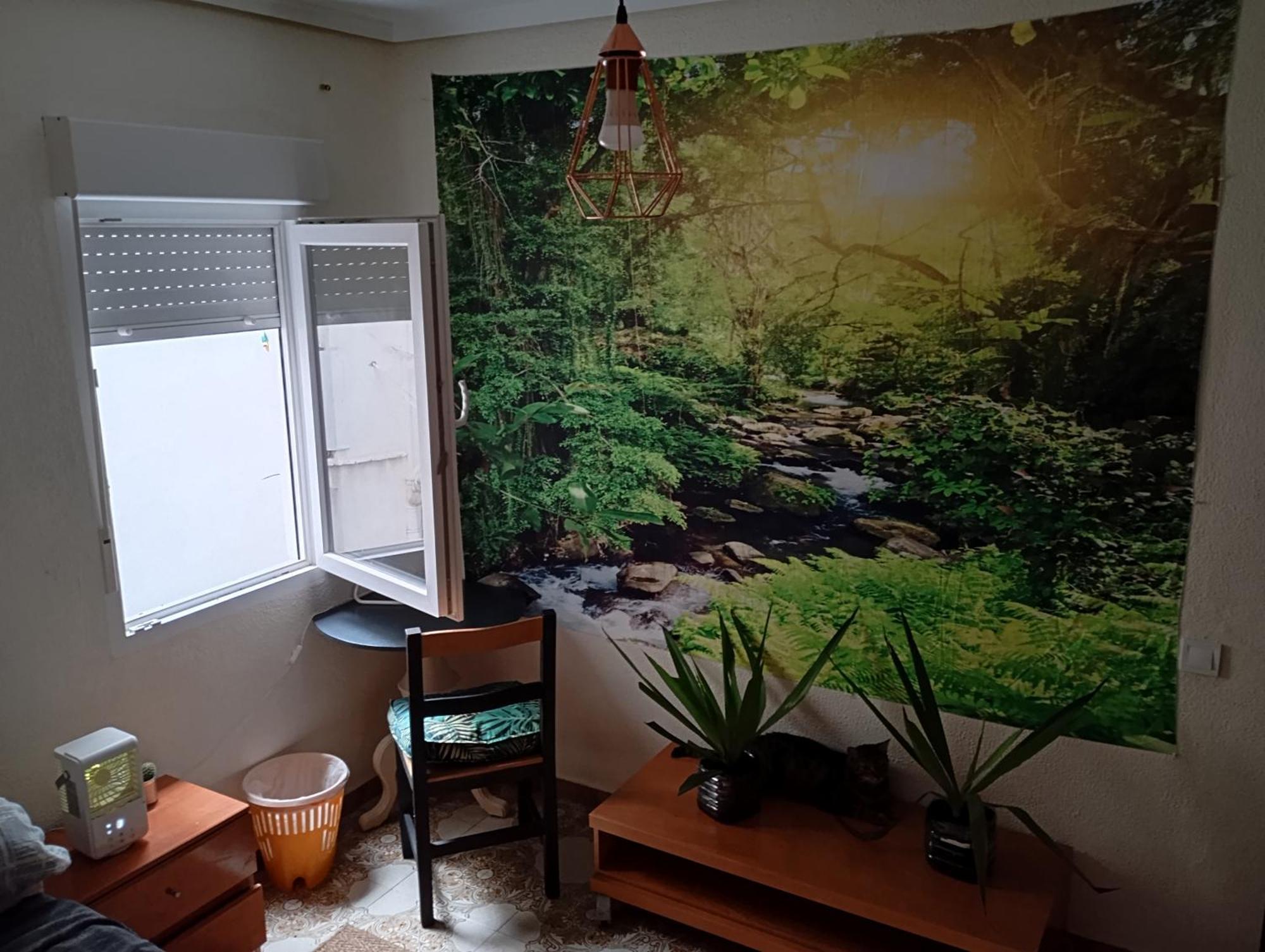 Grosses Modernes Zimmer "Silber" Fuer 2 Personen Und Katzenliebhaber บาเลนเซีย ภายนอก รูปภาพ