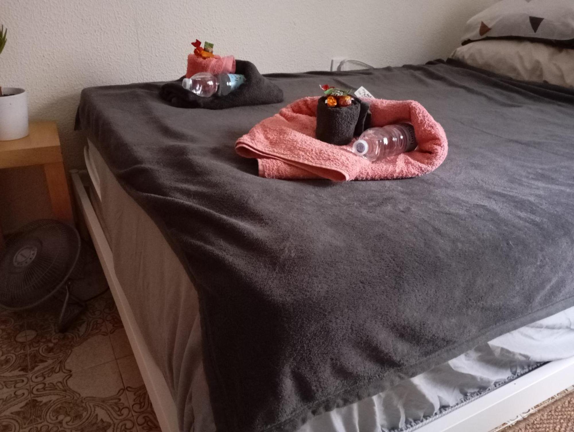 Grosses Modernes Zimmer "Silber" Fuer 2 Personen Und Katzenliebhaber บาเลนเซีย ภายนอก รูปภาพ