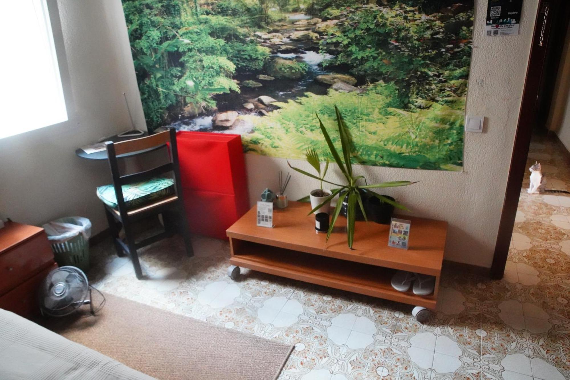 Grosses Modernes Zimmer "Silber" Fuer 2 Personen Und Katzenliebhaber บาเลนเซีย ภายนอก รูปภาพ